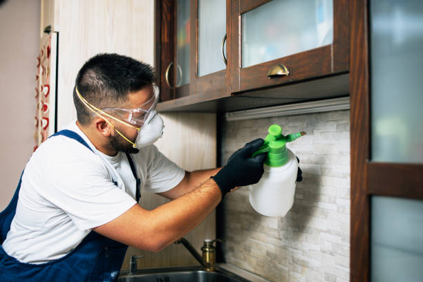 Best Affordable Pest Control Services  in Thomson, GA