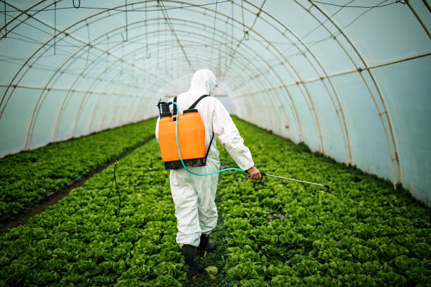 Best Mosquito Control Services  in Thomson, GA