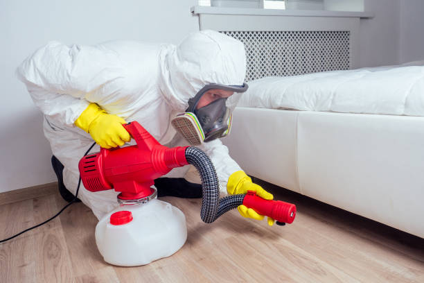 Flea Control Services in Thomson, GA