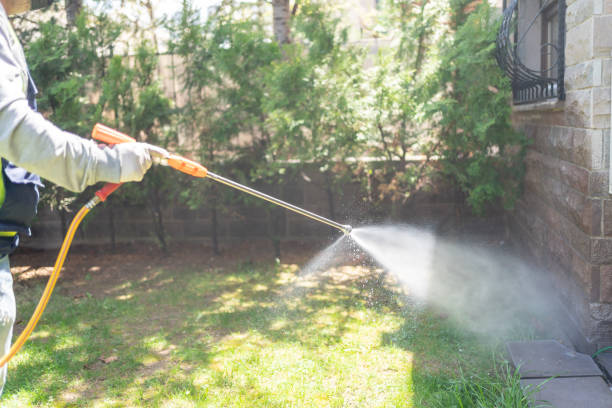 Best Local Pest Control Services  in Thomson, GA